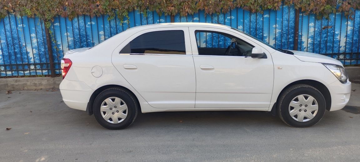 Cobalt 2019 kapot krilo kraska