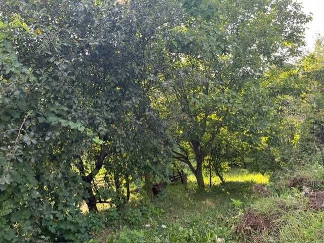 Casa 3 camere plus bucatarie, teren 1501 mp, com. Valcanesti, jud. PH