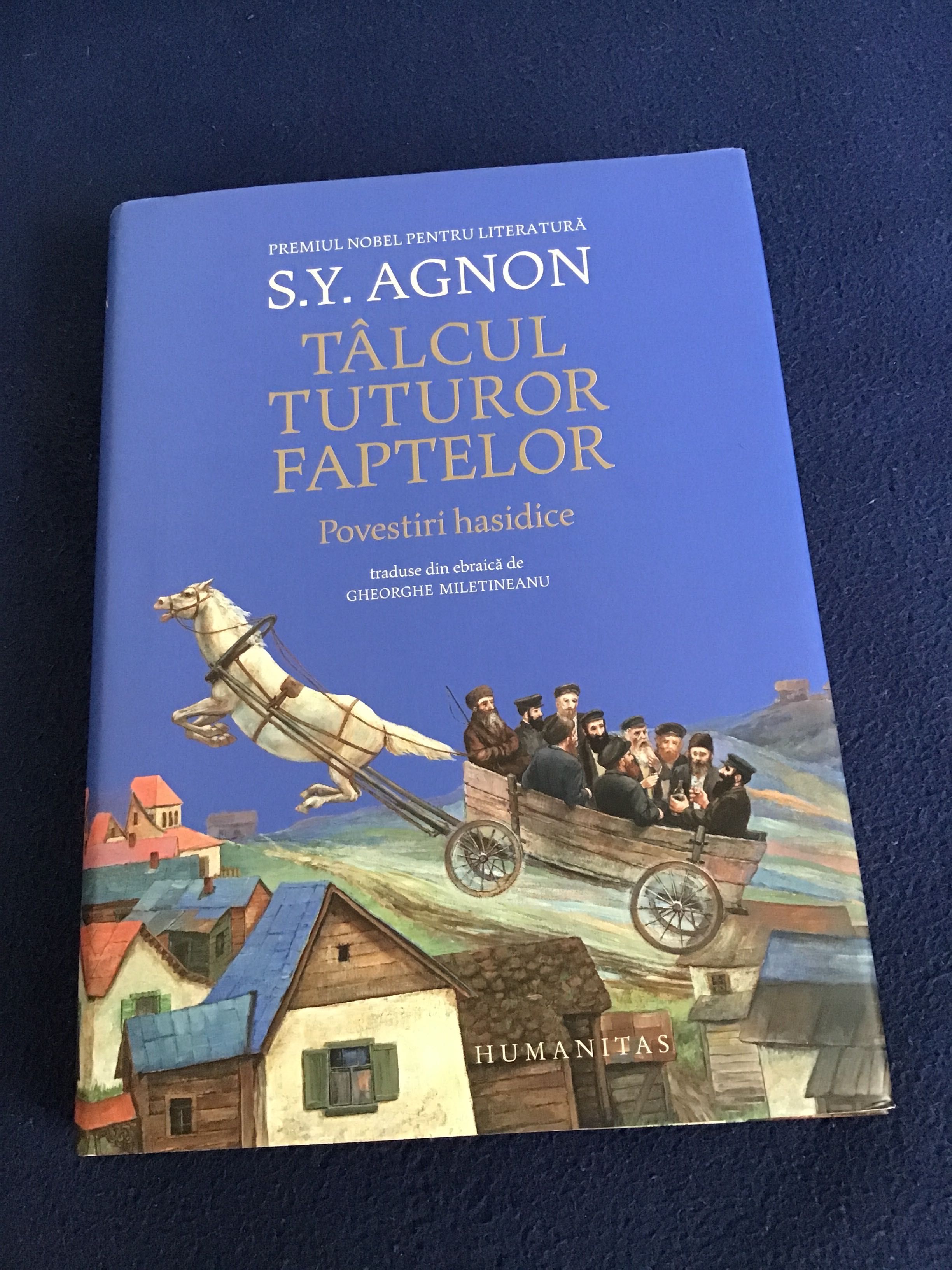 Tâlcul tuturor faptelor - S. Y. Agnon