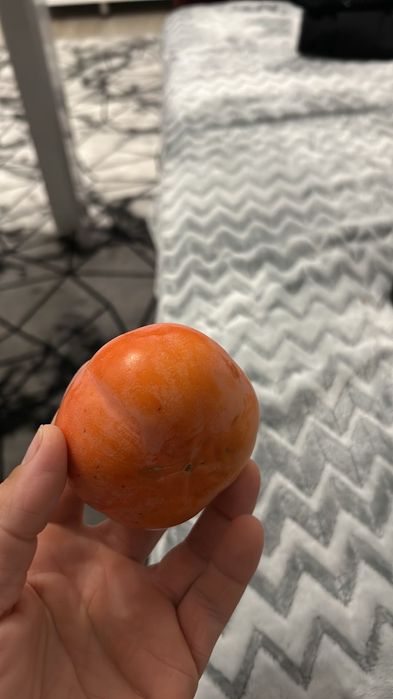 Дръвчета Райска ябълка за лкиенте на едро и дребно