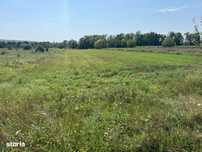 Teren  Mioveni,