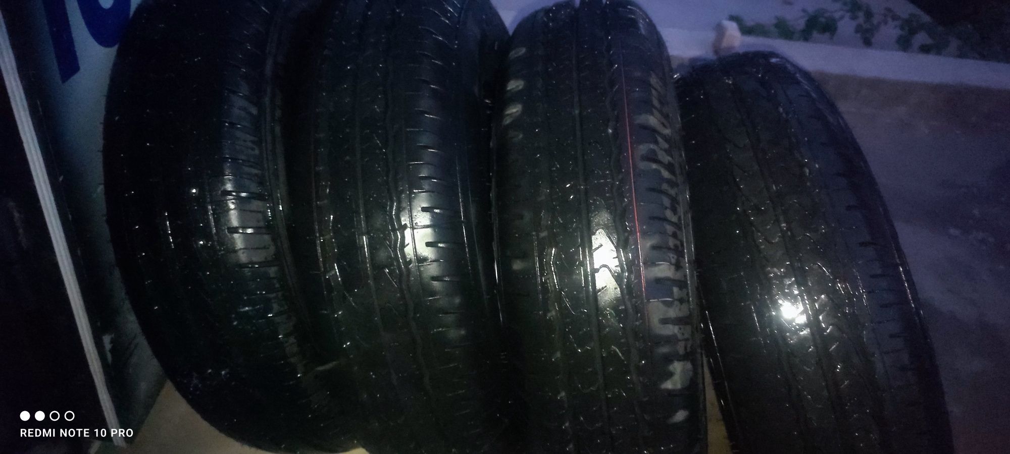 Damas rodnoy bolonlari sotiladi 160 kilometr yurganADI