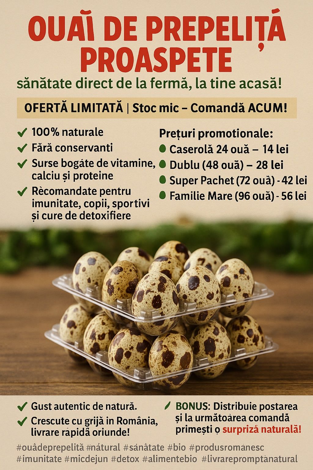 Oua de Incubat Prepelițe Japoneze – Rată Mare de Eclozare!