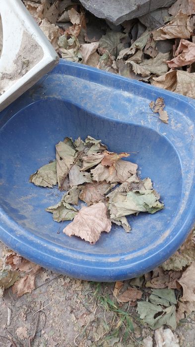 Продам раковину целая