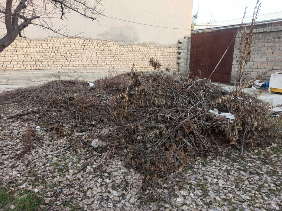 продам дрова ўтин