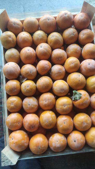 Xurmo sotiladi xar xil sortidan bor