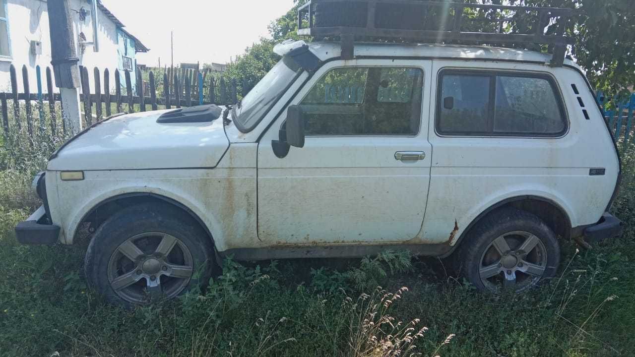 продам рабочую лошадку