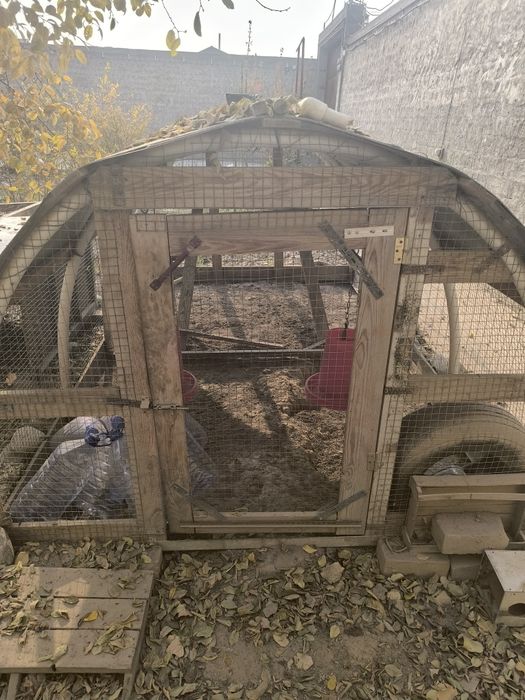 Товуқ хона сотилади фасад 2×4, баландлиги 1.5 метр