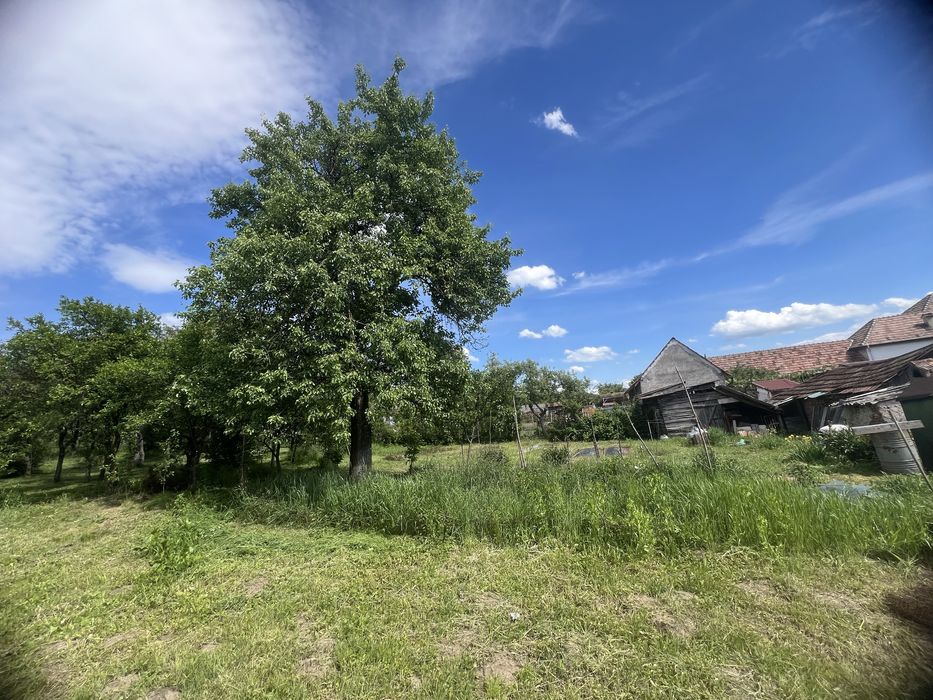 Teren 1150mp la tara, deschidere la 2 stazi