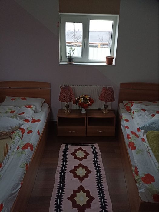 Inchiriez cabana / pensiune Craciun -  2026