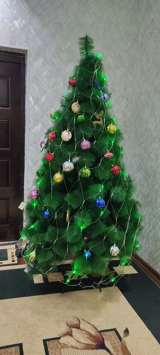 Archa balandligi 2mr narxi 1mln