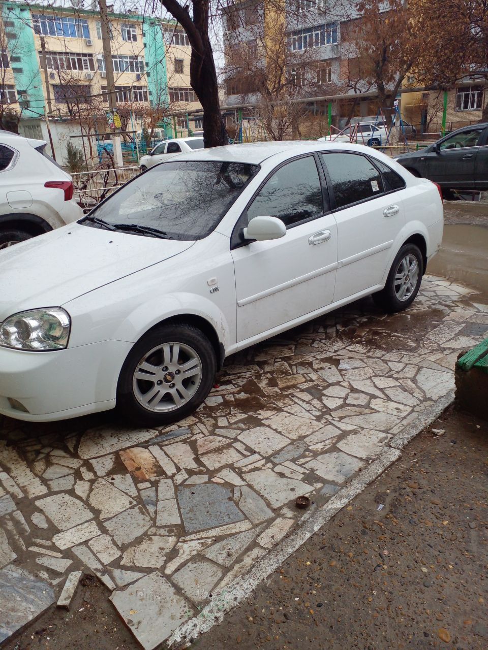 Lacetti kraskalari rodnoy