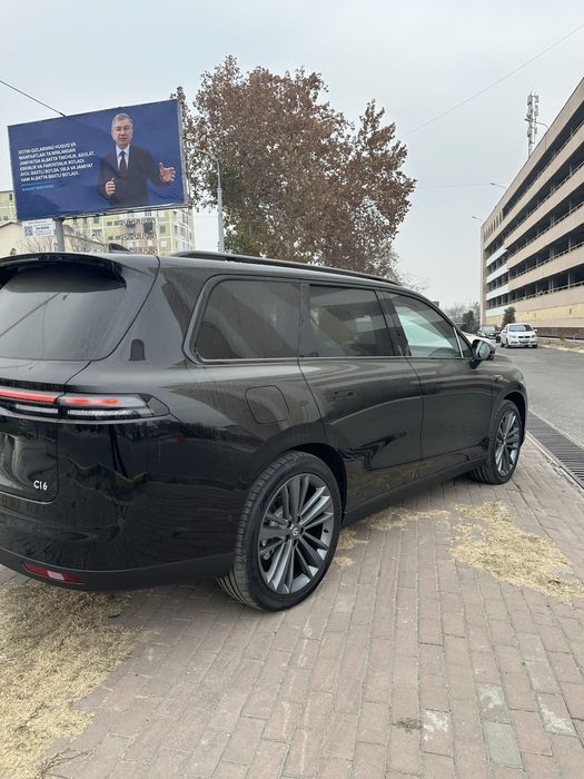 Лиммотир с16  гибрид 2025