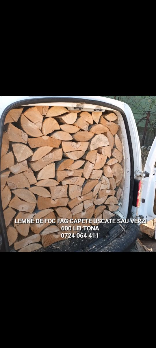 Lemn de foc esenta tare fag capete uscate sau verzi 600 lei tona