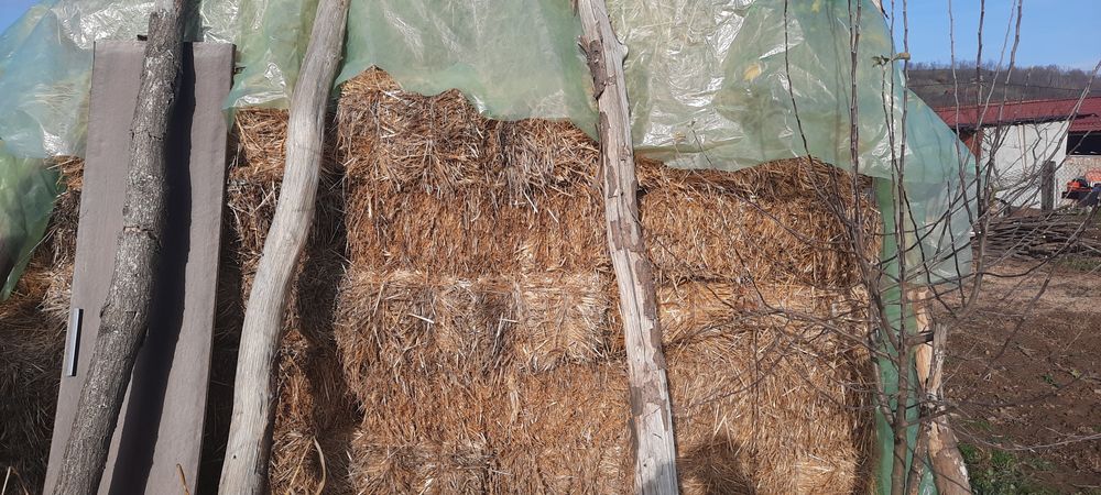 Vând baloti de paie