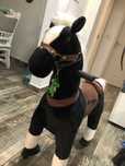 My pony -Cal  negru de la 2 ani