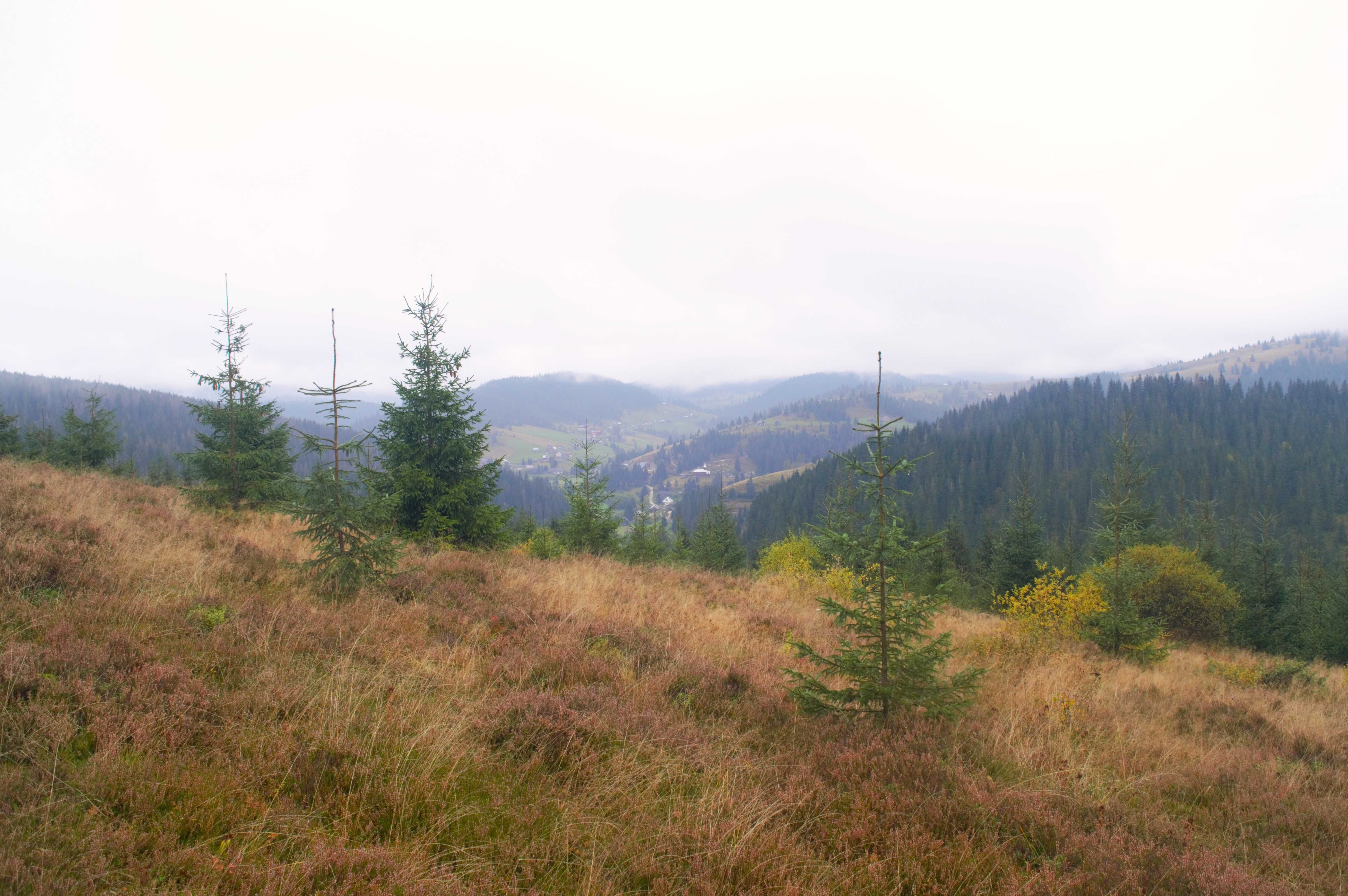 Vând teren în Poiana Horea, comuna Beliş, judeţul Cluj