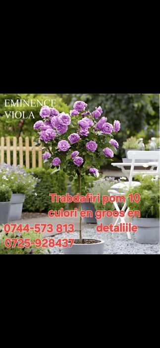 Aluni.Castan.Nuc.Cires.Pruni.etc.Baloti fan sau lucerna La TIR>RO.Ue