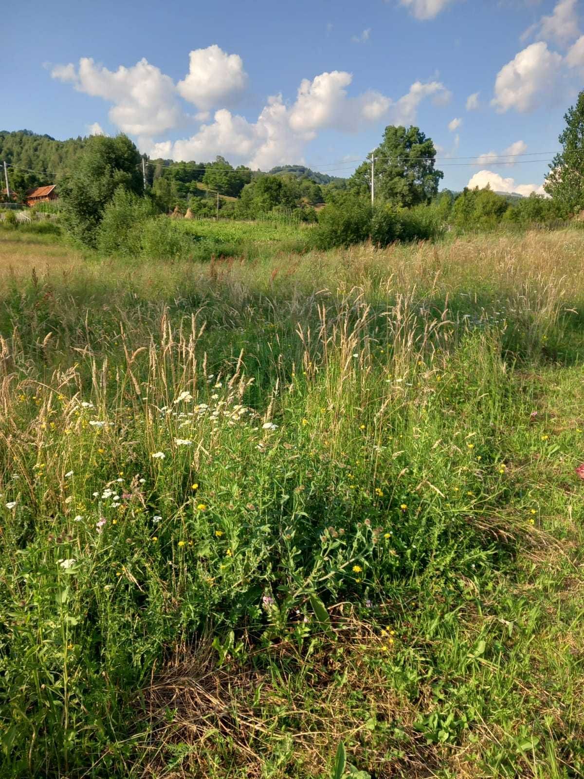 Teren intravilan vânzare