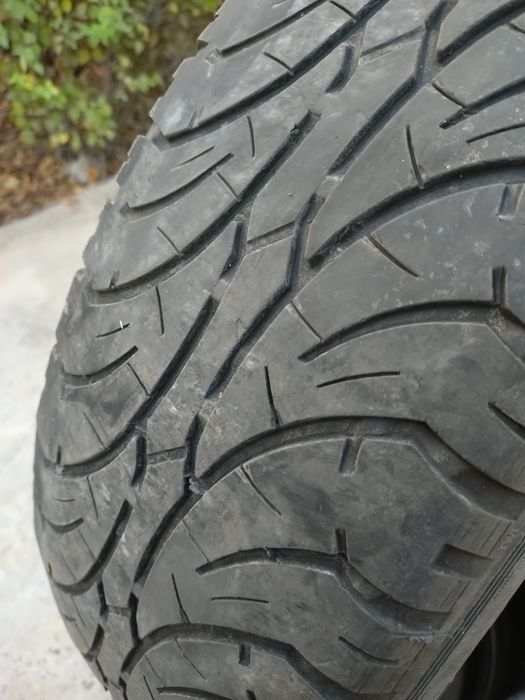 Болоны на 16 бу на сезон.