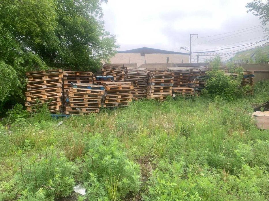 Продам  деревянные поддоны состояние хорошее целые