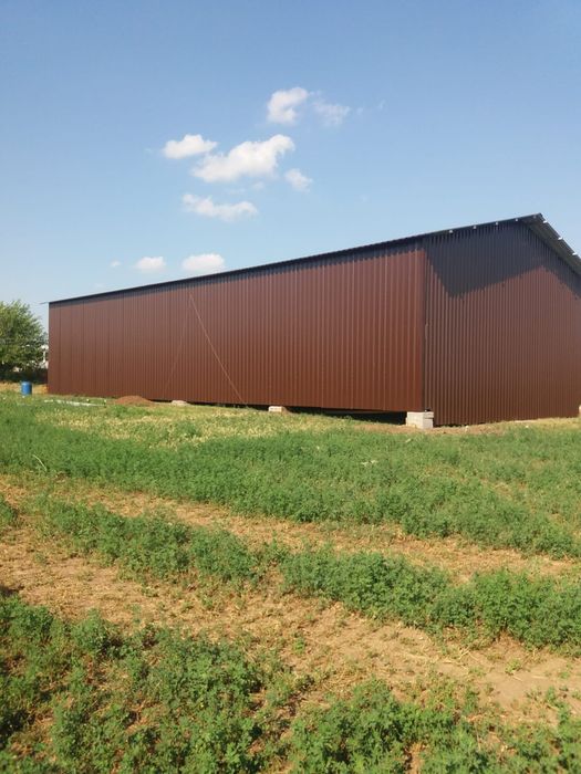 Vand hale metalice si ferme metalice din profile ipe 200 10x20