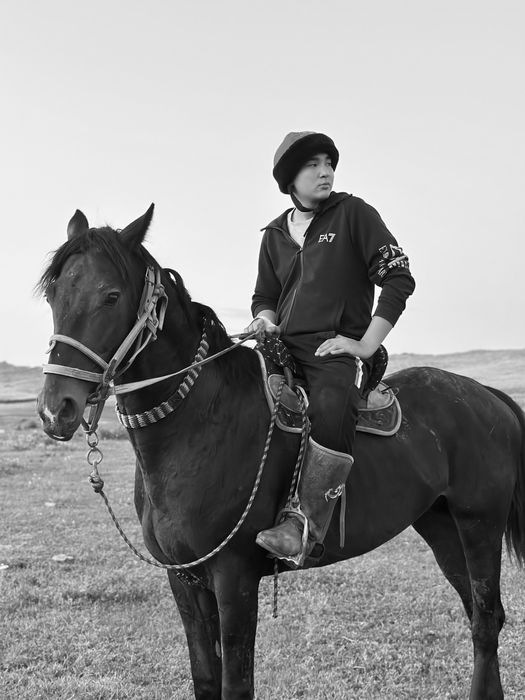 Таза қандай айғыр сатылады!