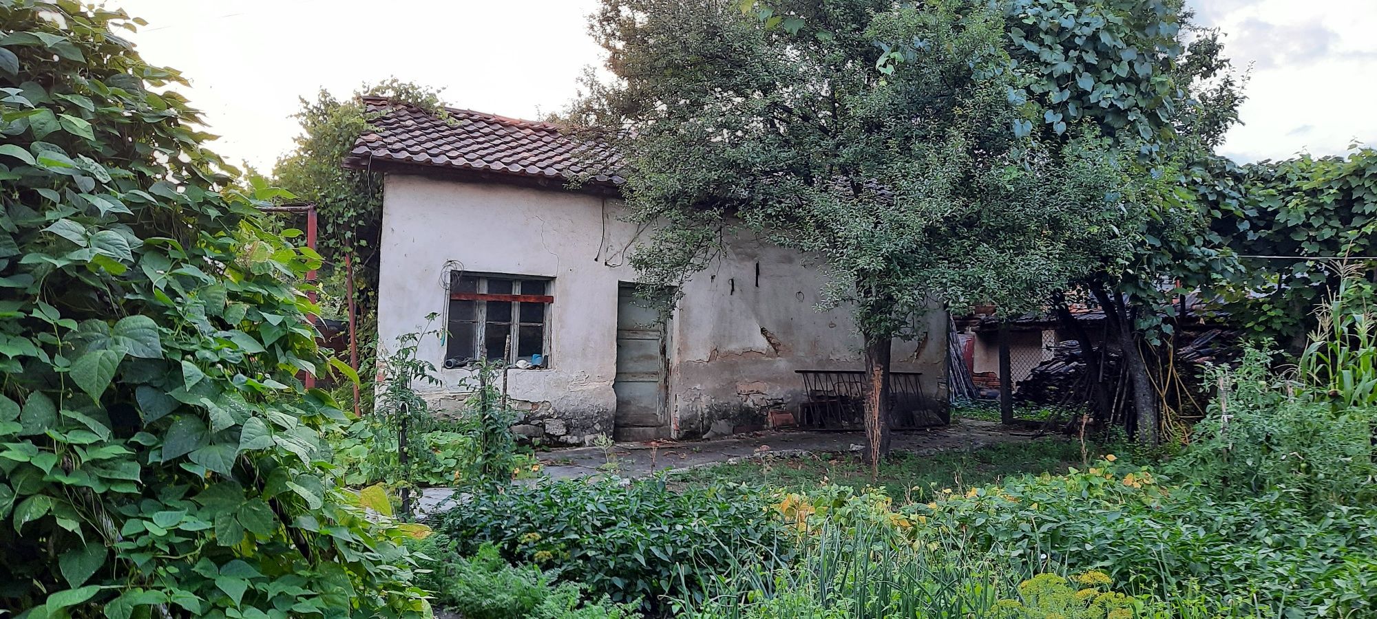 Къща с дворно място