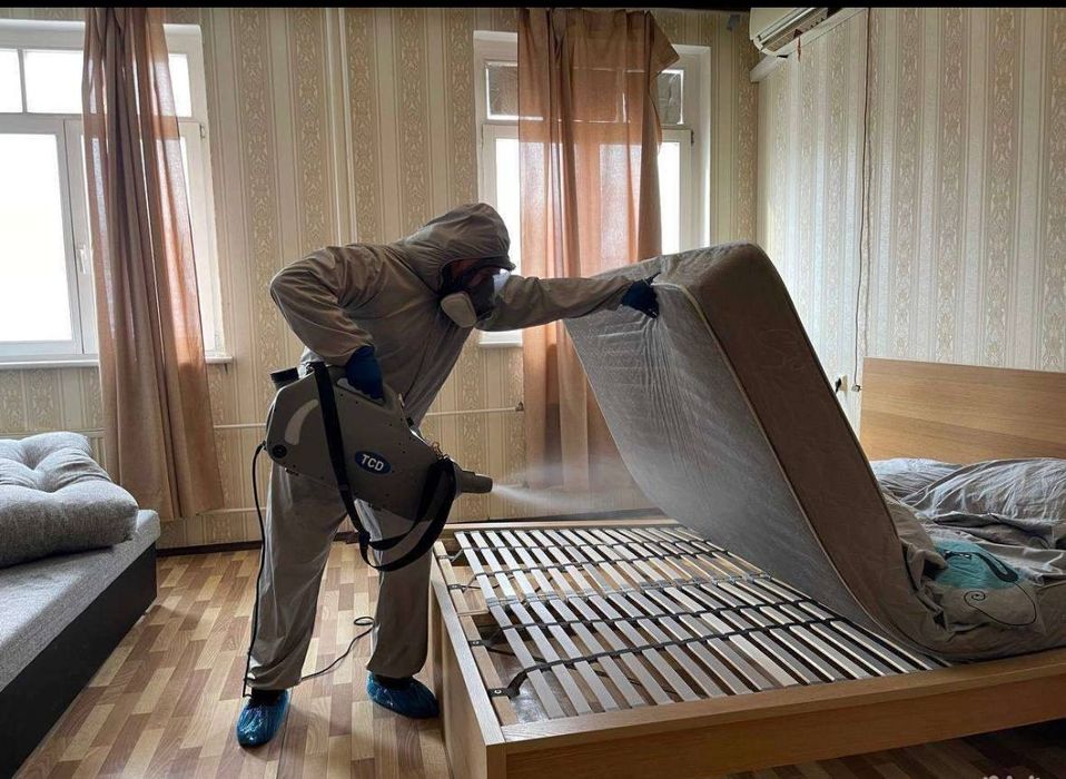 Дезинфекция от клопов и тараканов