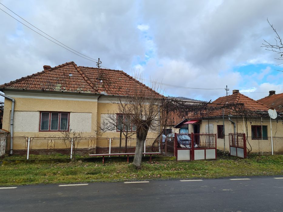 Vand casa cu gradina