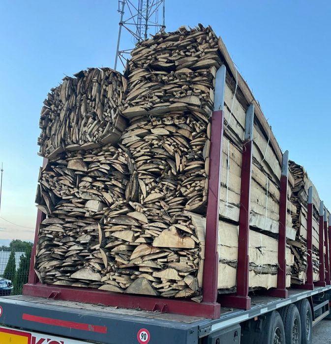 Cherestea LATUROAIE rasinoase