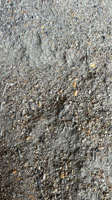 Furaj din porumb, grâu și floarea soarelui vrac/la sac