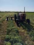 Vând tractor U445