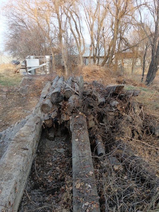 Отын бир машина шығат срочно алып кетиндер шы даром