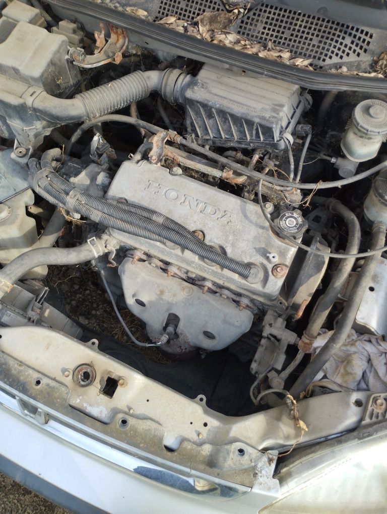 Хонда лого на части Honda logo na chasti
