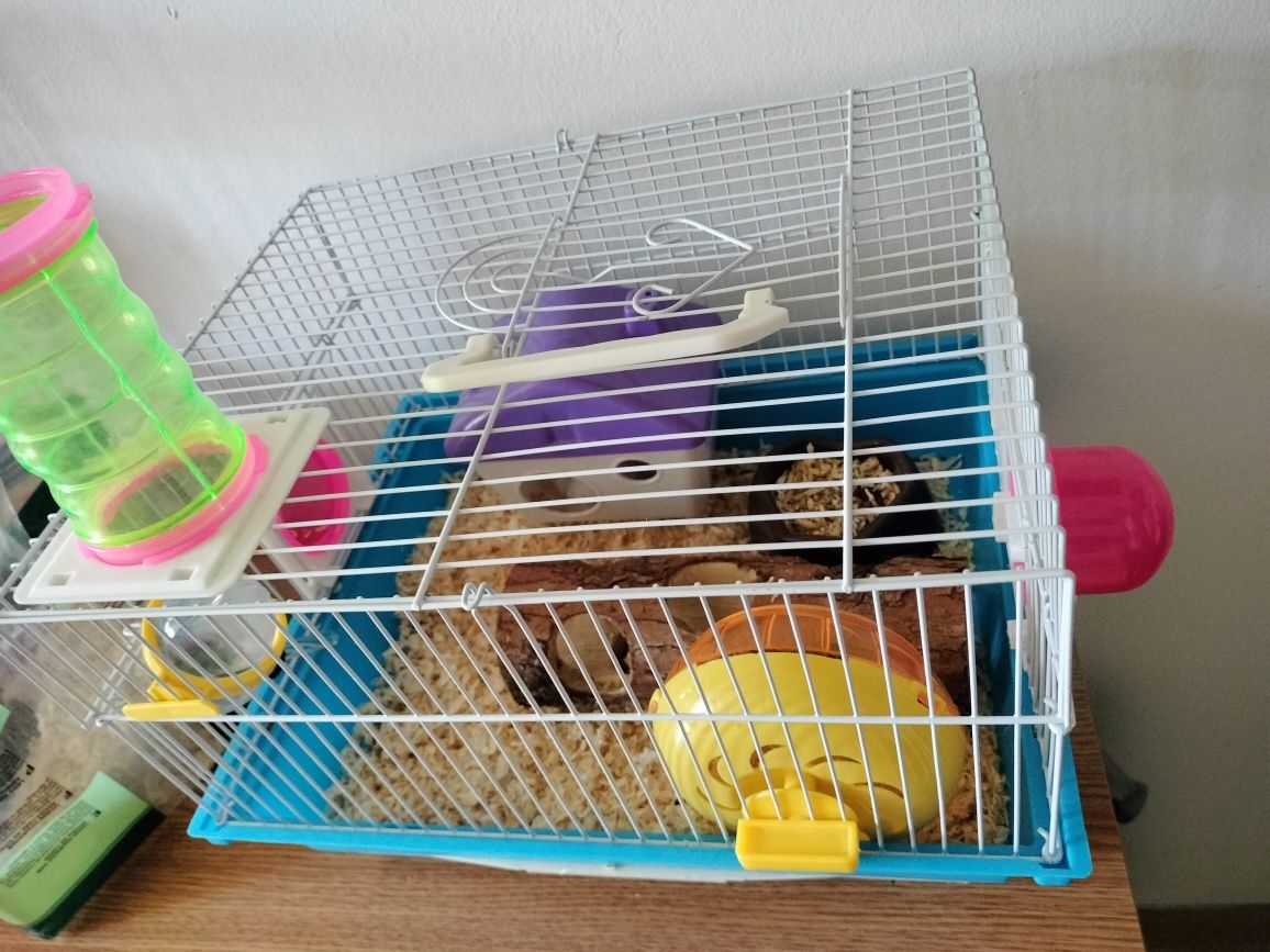 Vând 2 hamsteri plus 2 cuști