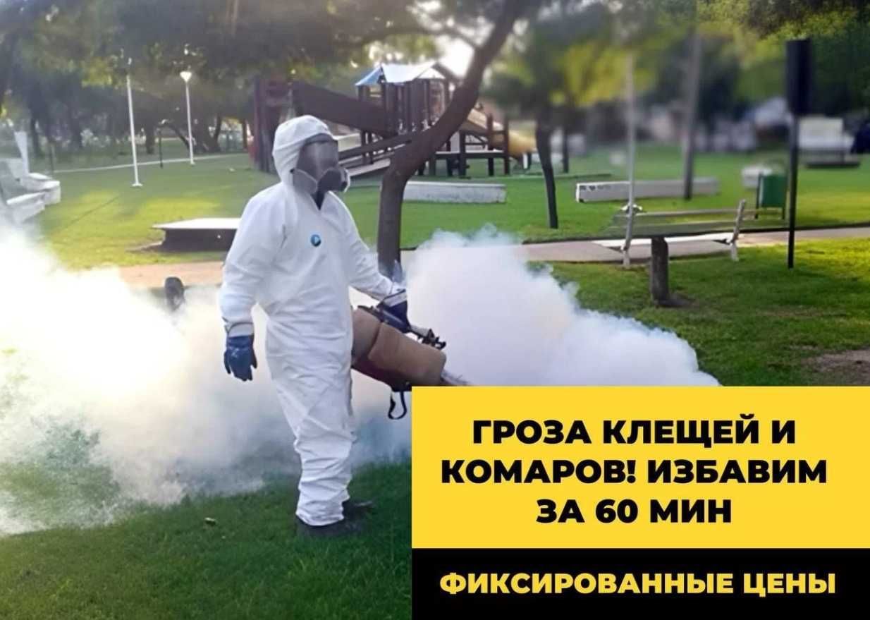 Dezinfeksiya tarakan klopa ilon Уничтожение тараканов клоп Dez Dezin-7