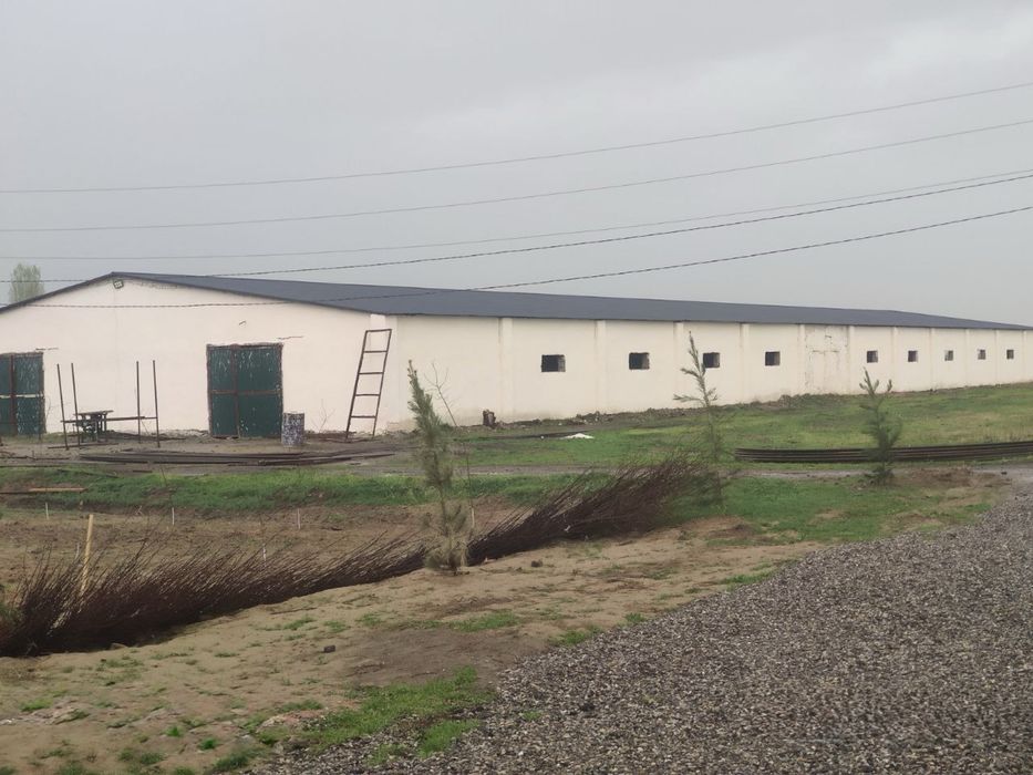 Guliston tumanida yer sotish | продажа земли в гулистанском районе