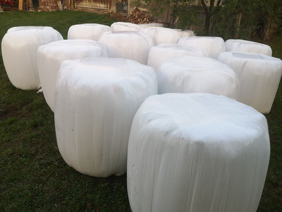 Baloti 120x120 infoliat