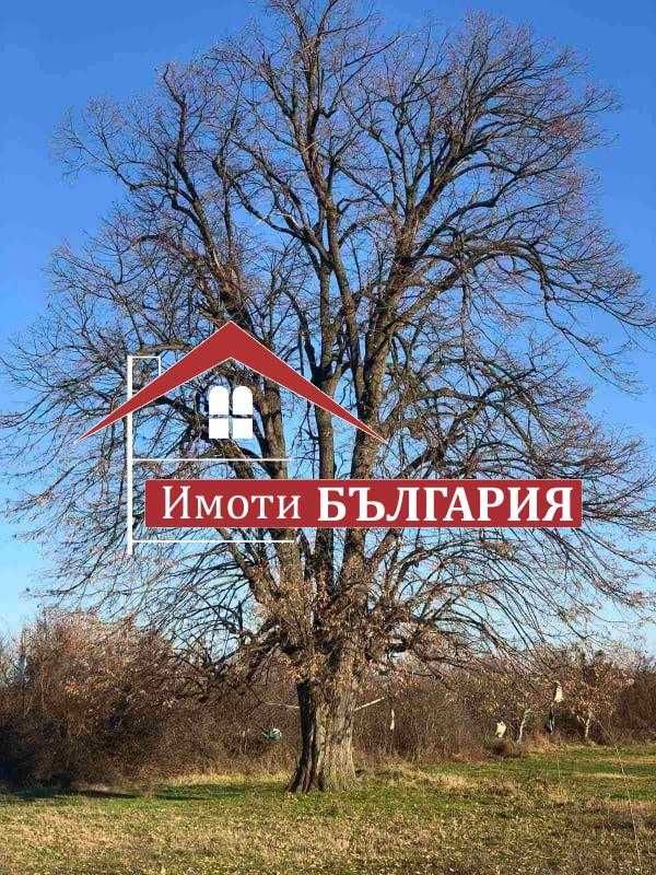 Продава се Къща в с. Бегово, Област Пловдив - 100 кв.м за 179 €/кв.м - Снимка #7