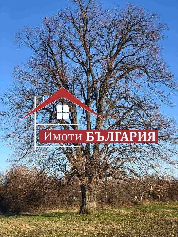 Къща в с.Бегово общ. Калояново, обл. Пловдив