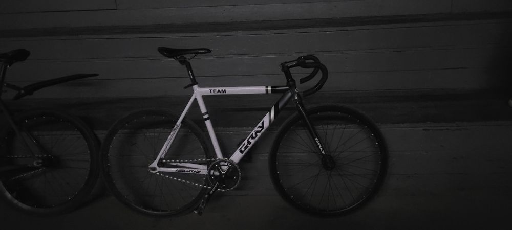 Fixed gear GRAY team