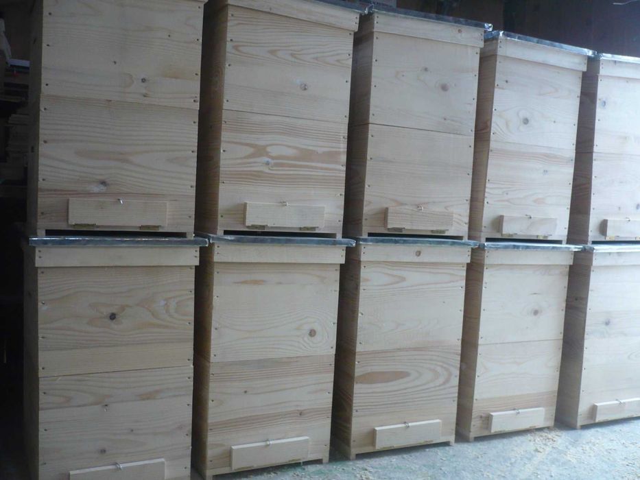 Stupi pe 10 rame  ,180 lei