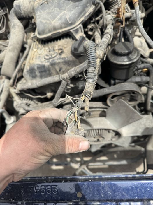 АвтоЭлектрик на выез Илиский район 12/24V