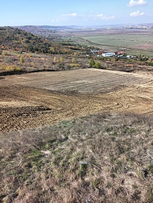 Vând teren extravilan Miroslava centru