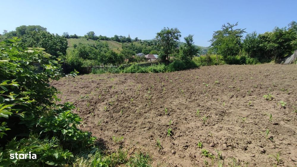 Luizi Calugara, teren intravilan in centru