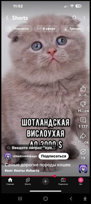 Продается срочно