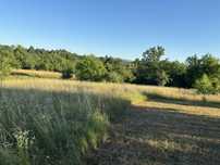 Ofer Iarba pentru cosit