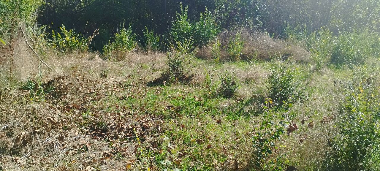 Продава се Парцел в Перник, Бела вода - 400 кв.м за 29 €/кв.м - Снимка #4
