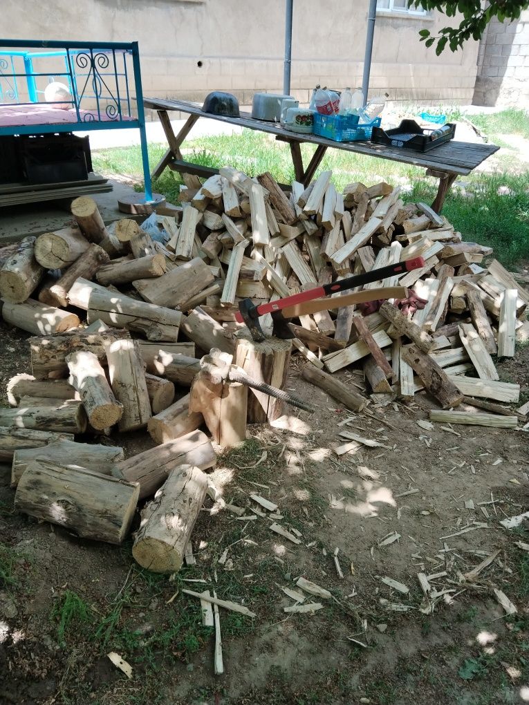 Отын агаш жарылып капталган.